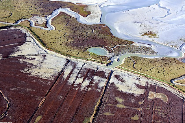 Quels seront les paysages littoraux et lacustres de demain ? • n°03